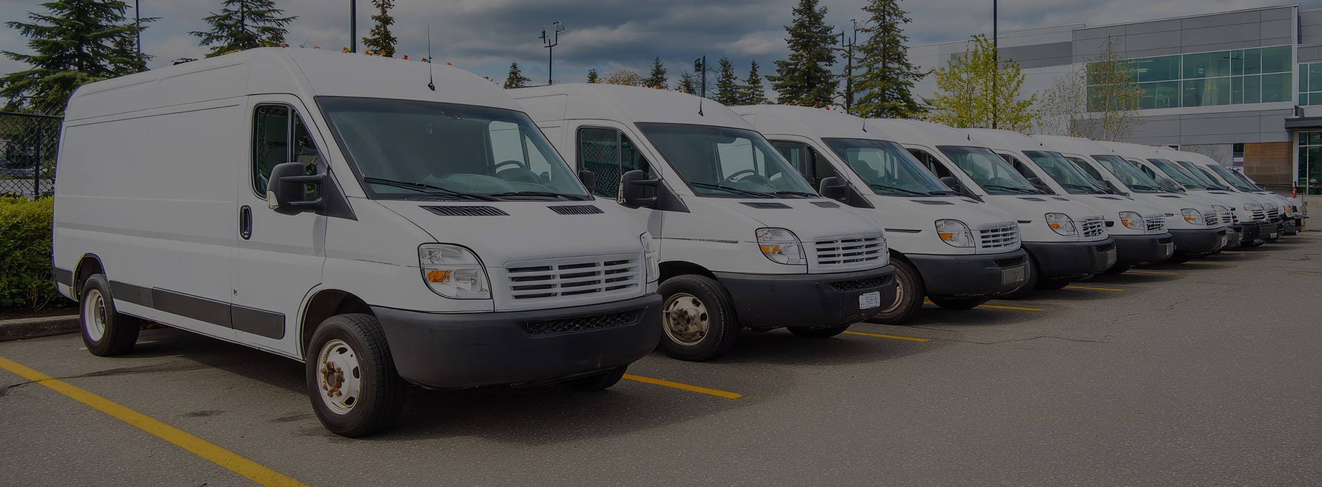 Commercial fleet of white delivery vans parked at business facility