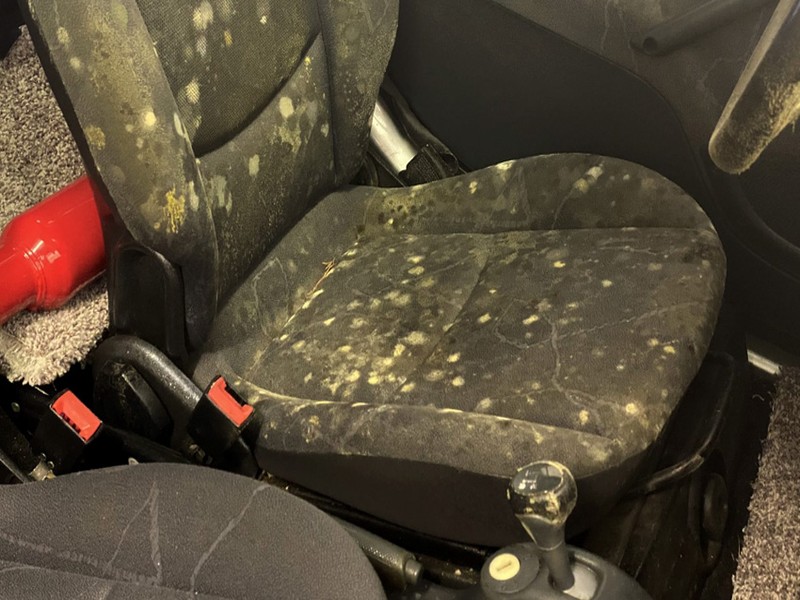 Severe mold damage on car seat before professional treatment