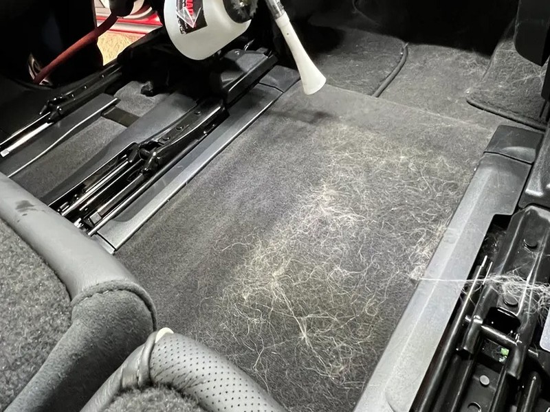 Pet hair removal from cargo area and trunk space