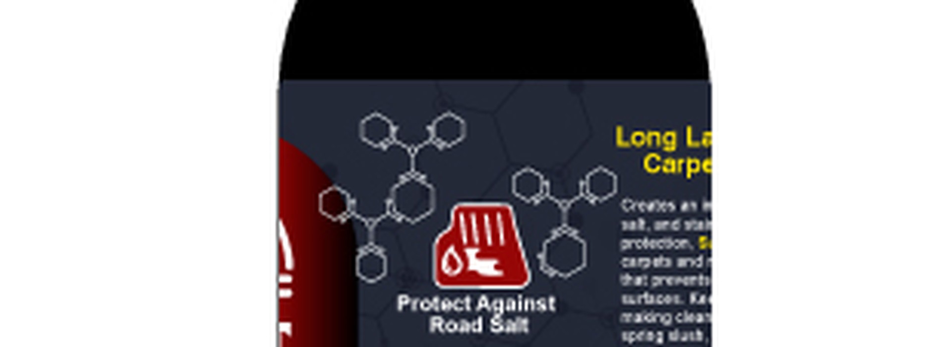 Professional WinterGuard carpet protection service for commercial vehicles